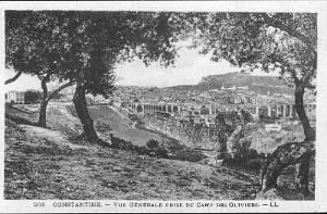CONSTANTINE VUE GENERAL DU CAMP DES OLIVIERS